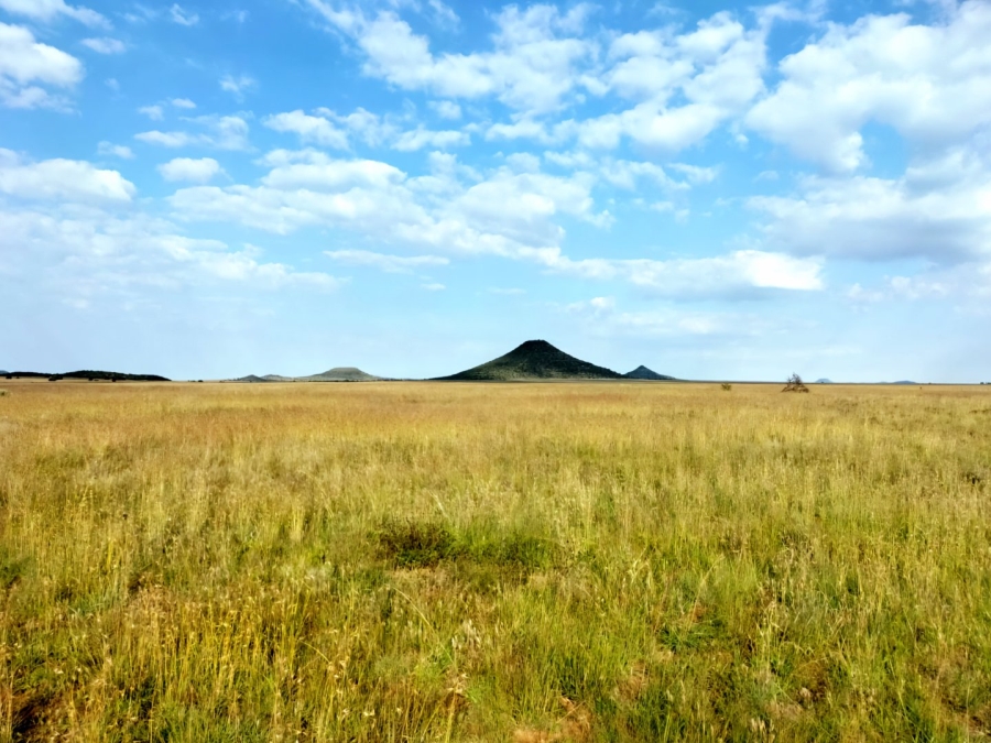 3 Bedroom Property for Sale in Bloemfontein Rural Free State